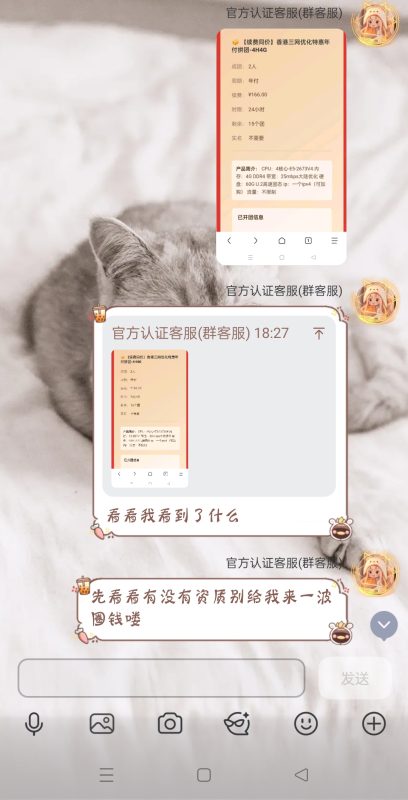 买与不买我选择买吃的-欲仙的小窝