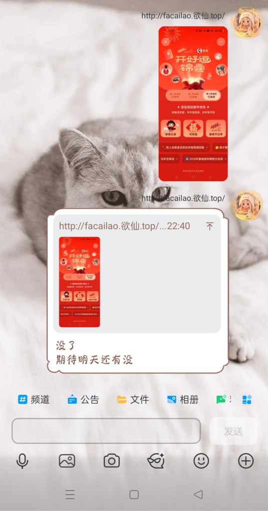 20260216224639398-Screenshot_2026-02-16-22-41-55-34_9d26c6446fd7bb8e41d99b6262b17def