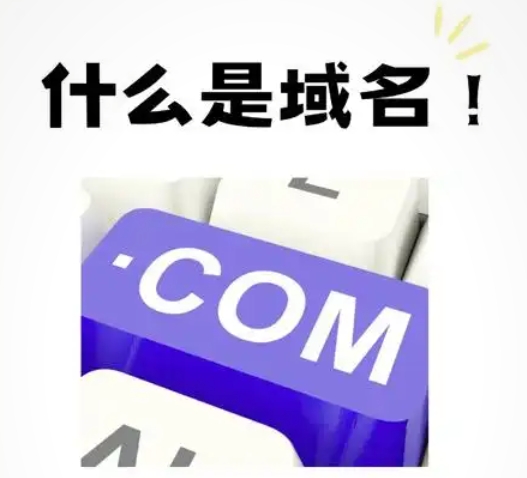 域名是什么❓-欲仙的小窝